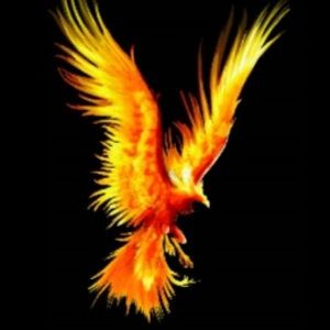 Meet your Posher, P. r.